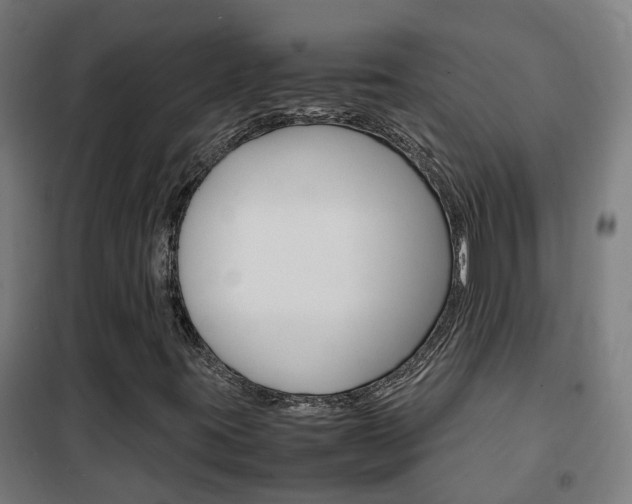 X0000102251395200807250850