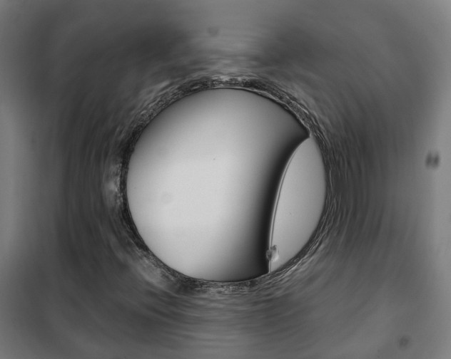 X0000102251396200807250850