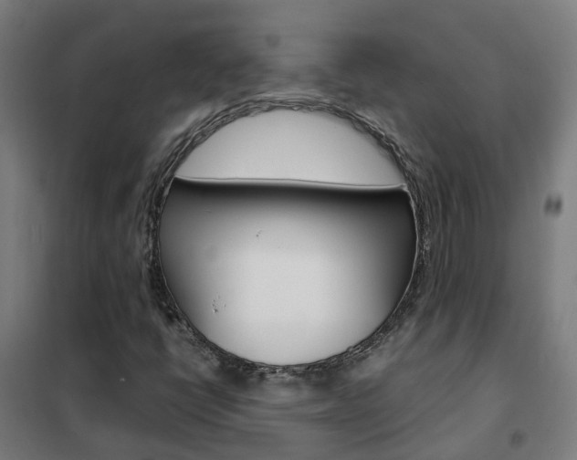 X0000102251398200807250850