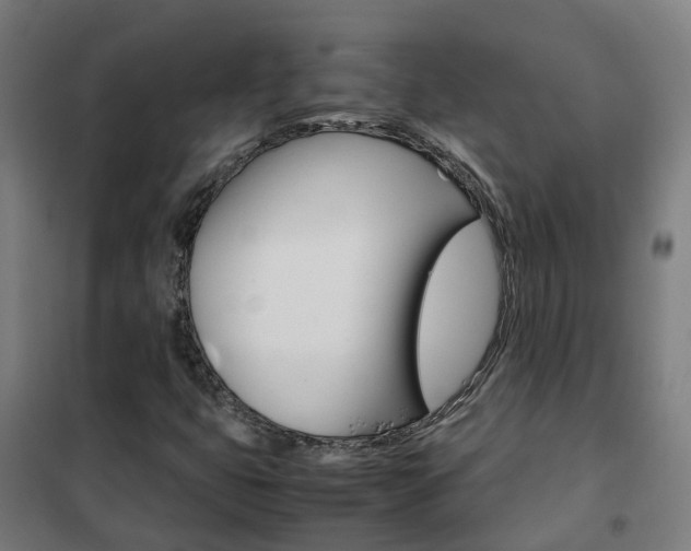 X0000102251399200807250850