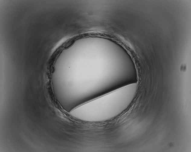 X0000102251400200807250850