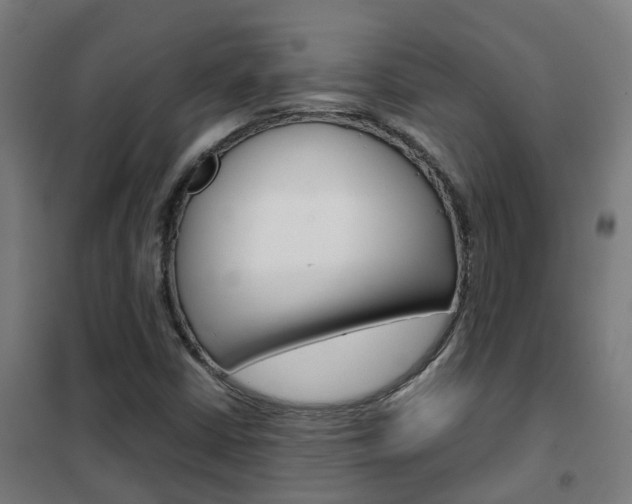 X0000102251402200807250850