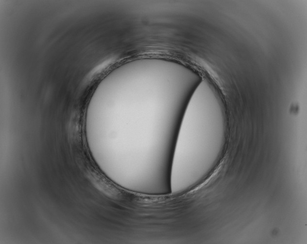 X0000102251403200807250850