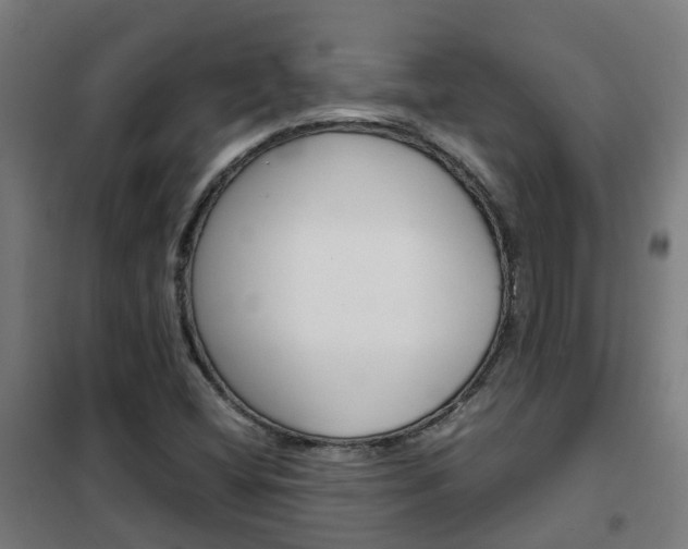 X0000102251404200807250850