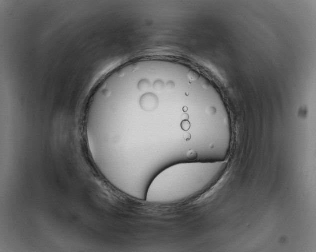 X0000102251405200807250850