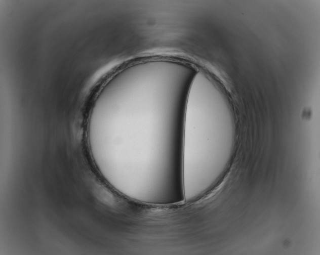 X0000102251406200807250850