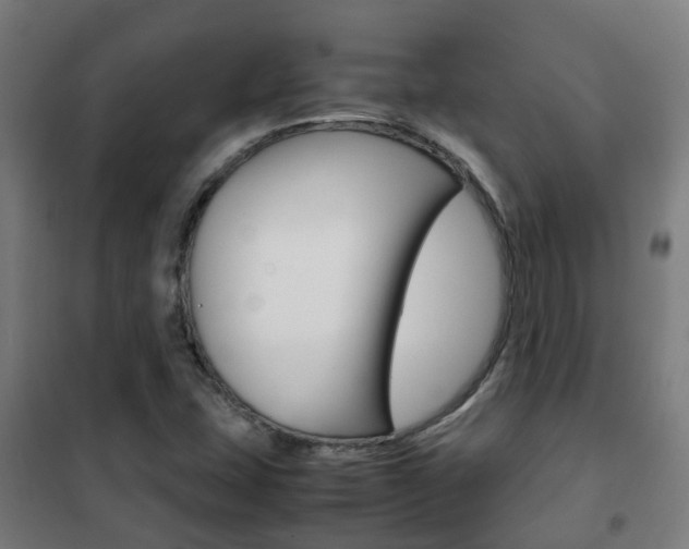 X0000102251407200807250850