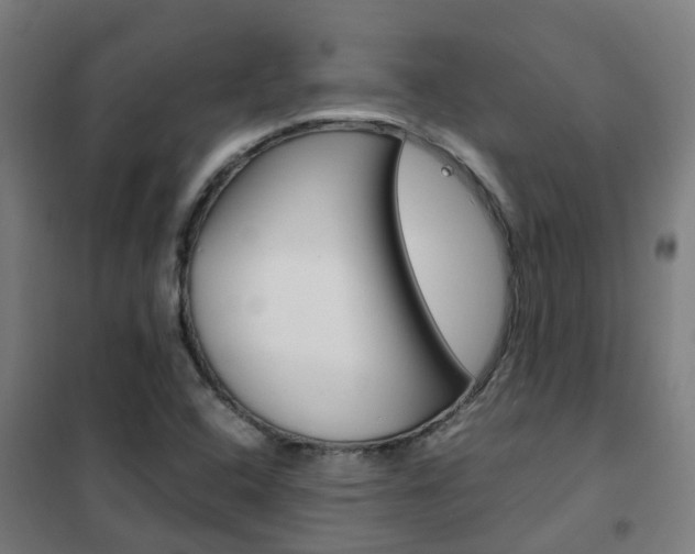 X0000102251408200807250850