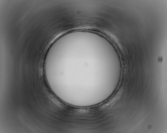 X0000102251409200807250850