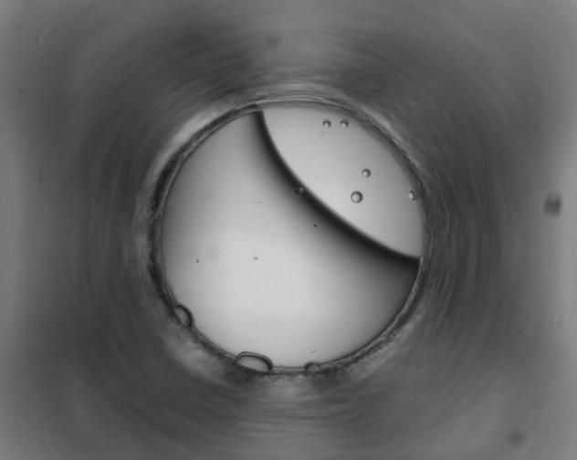 X0000102251410200807250850