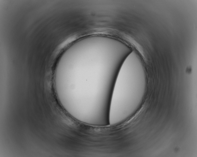 X0000102251411200807250850