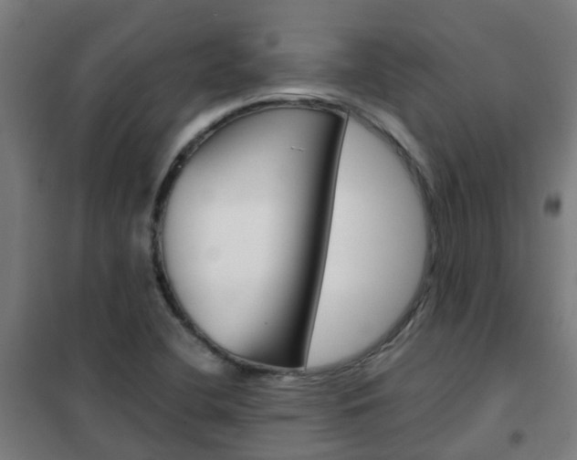 X0000102251412200807250850