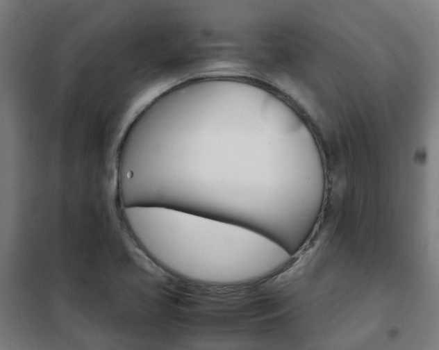 X0000102251413200807250850