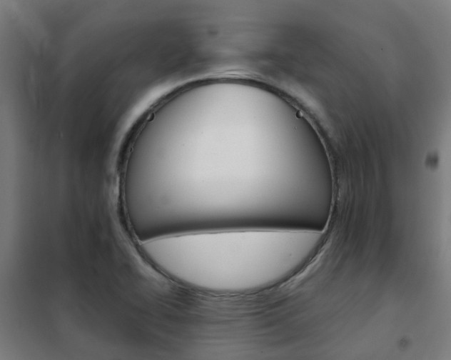 X0000102251414200807250850