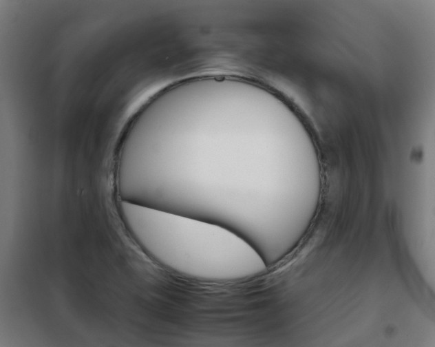X0000102251415200807250850