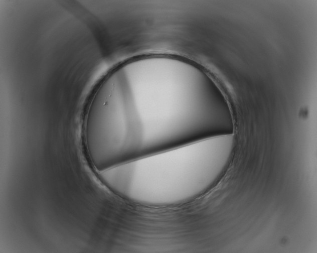 X0000102251416200807250850