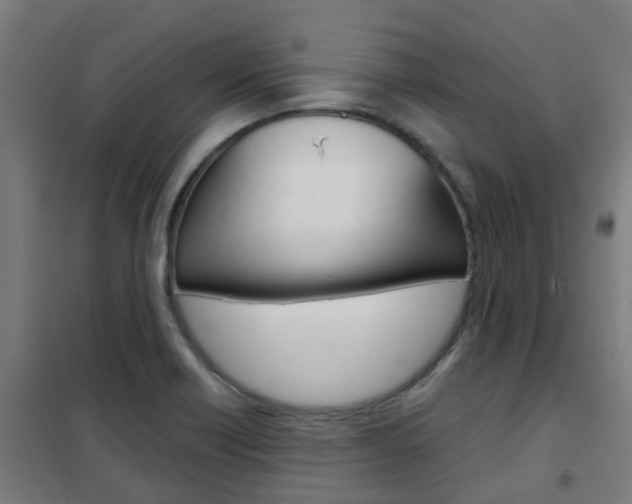 X0000102251418200807250850