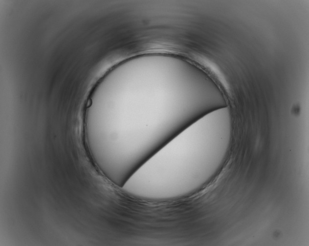 X0000102251419200807250851