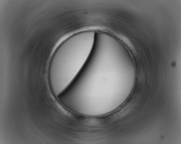 X0000102251420200807250851