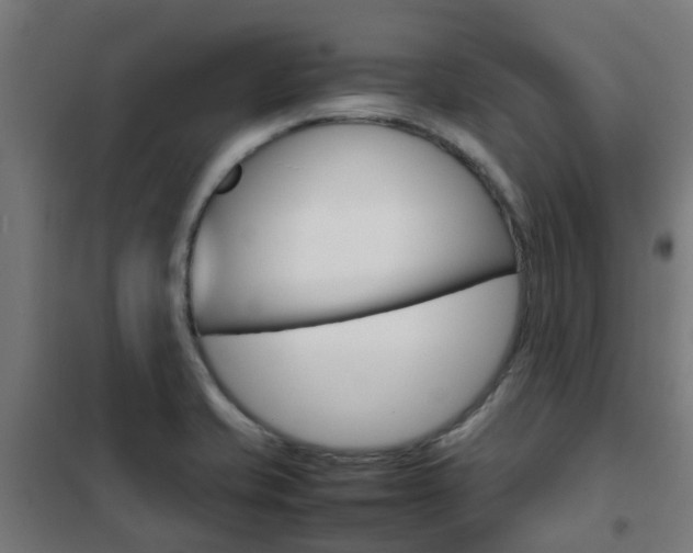 X0000102251421200807250851