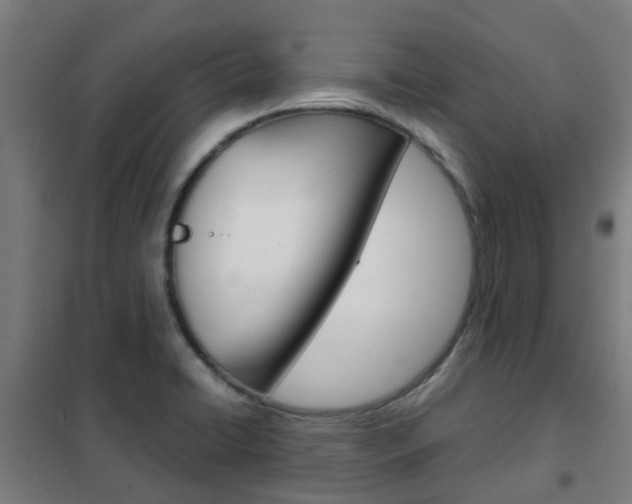 X0000102251422200807250851
