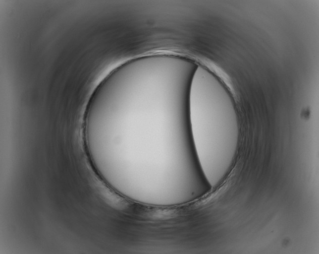 X0000102251423200807250851