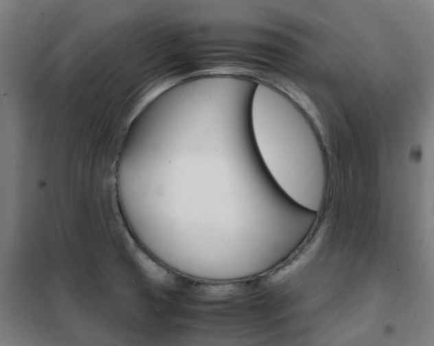 X0000102251425200807250851