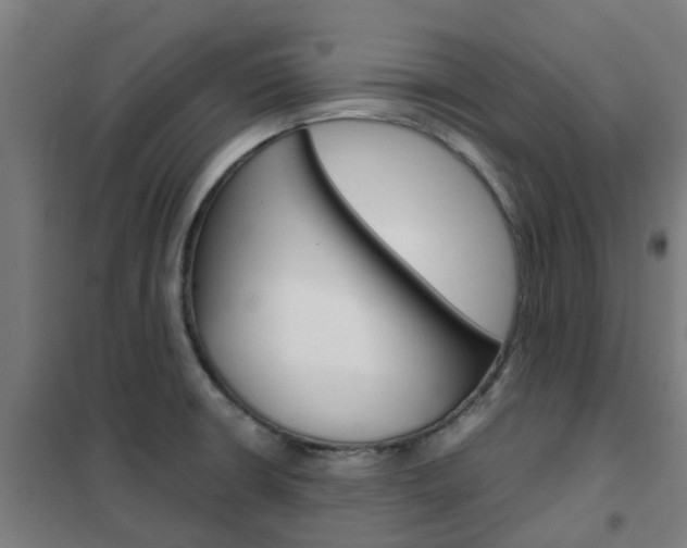 X0000102251426200807250851