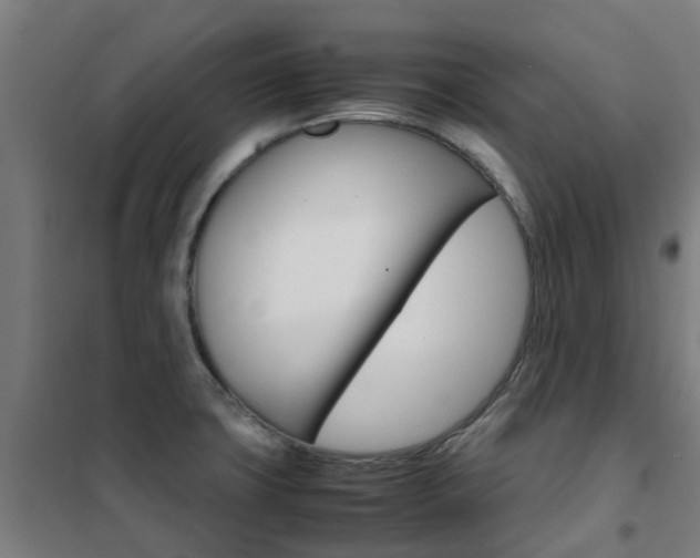 X0000102251427200807250851