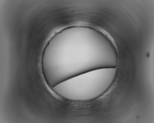 X0000102251429200807250851