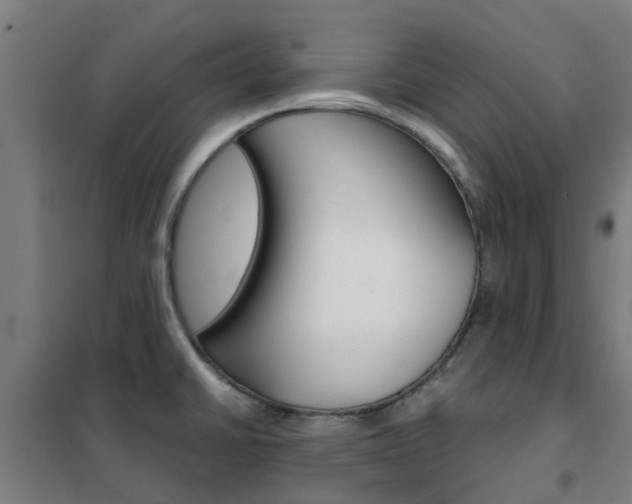 X0000102251430200807250851