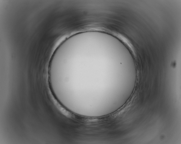 X0000102251431200807250851