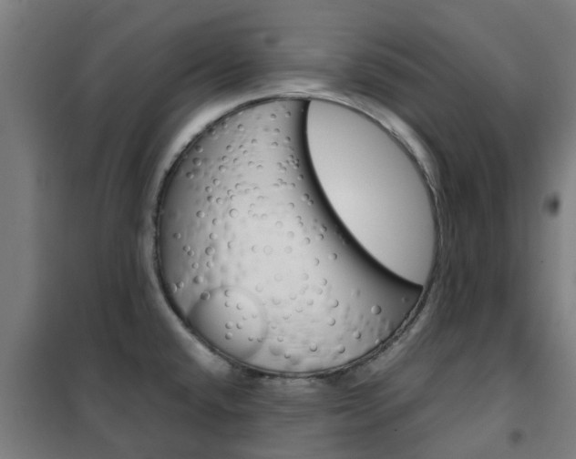 X0000102251432200807250851