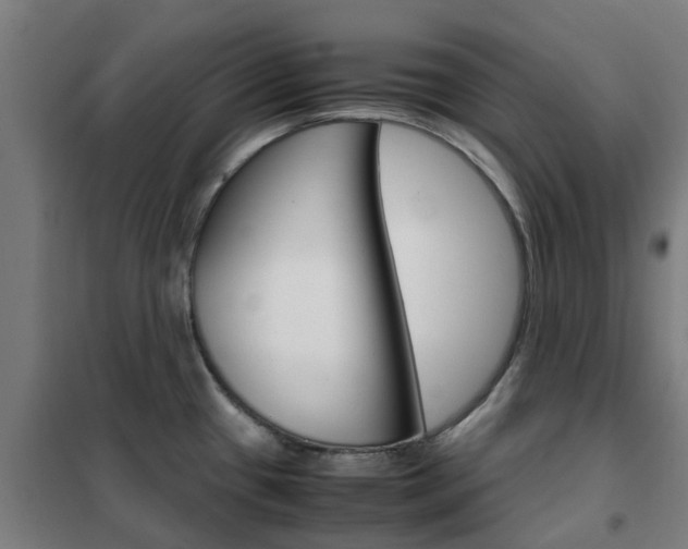 X0000102251433200807250851