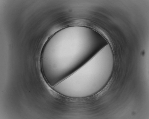 X0000102251434200807250851