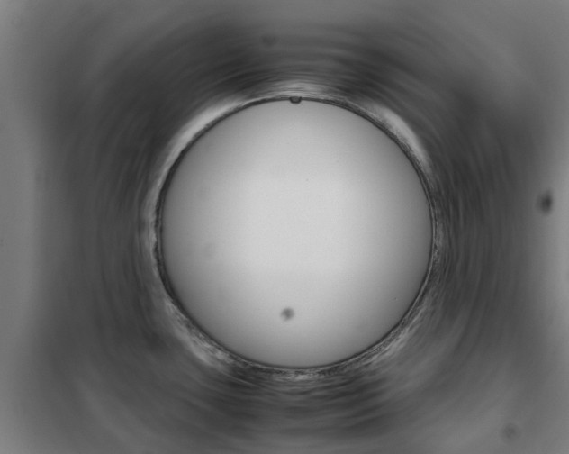X0000102251435200807250851