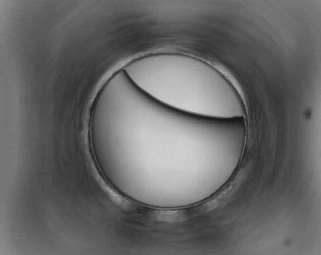 X0000102251437200807250851