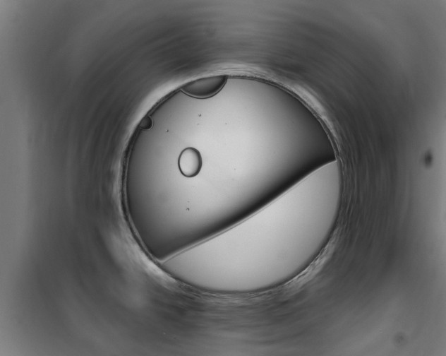 X0000102251438200807250851