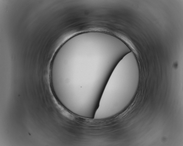 X0000102251439200807250851