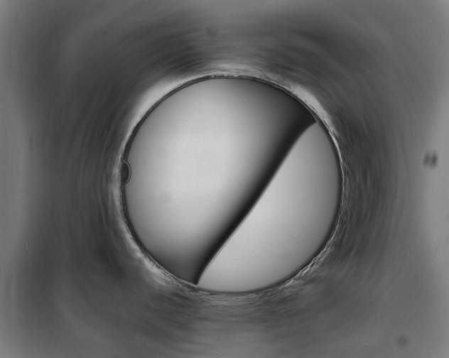 X0000102251440200807250851