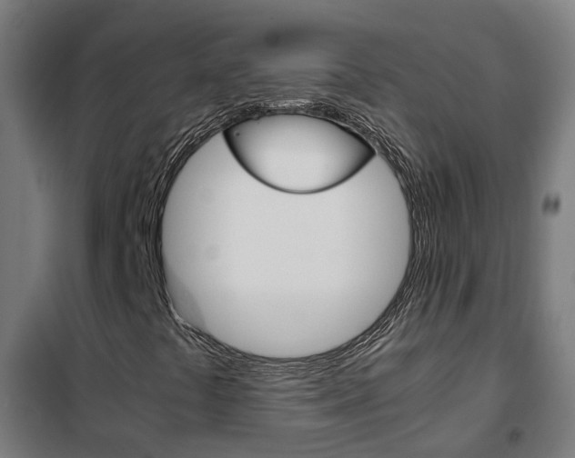 X0000102251441200807250850