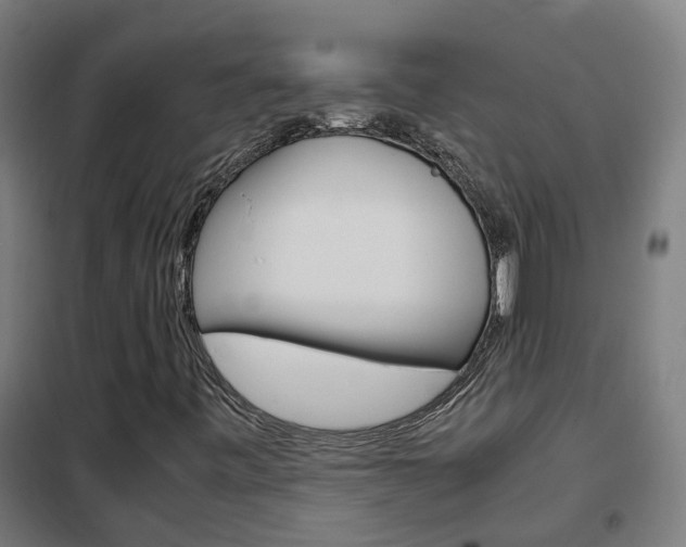 X0000102251443200807250850