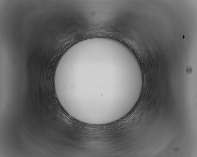 X0000102251444200807250850