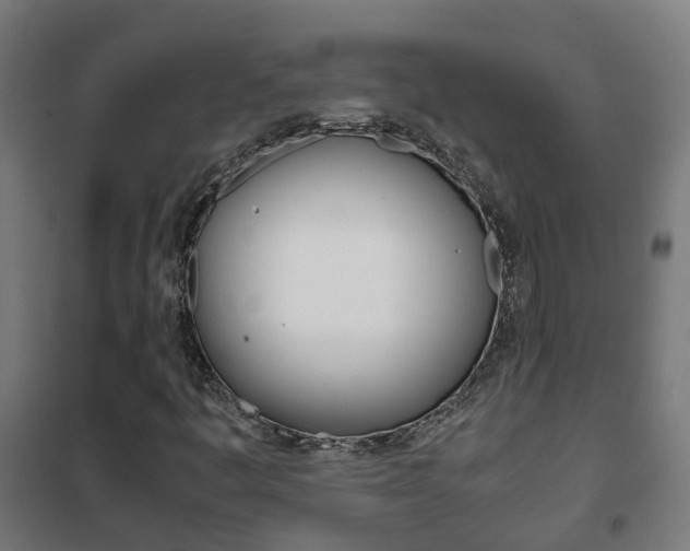 X0000102251445200807250850