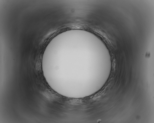 X0000102251446200807250850