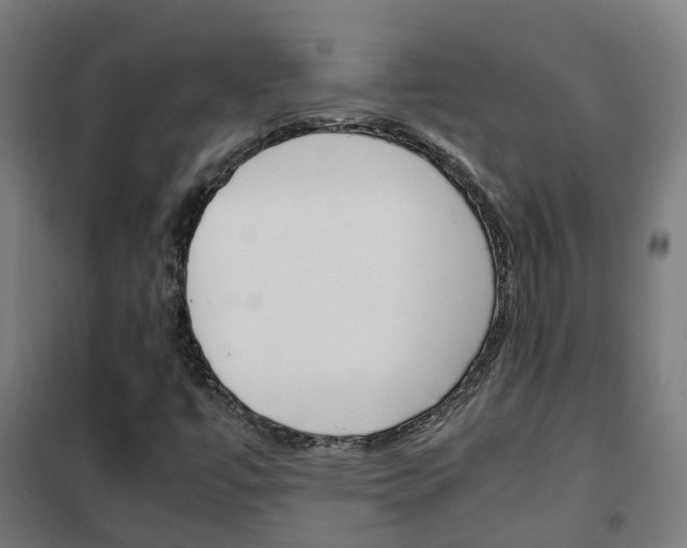 X0000102251447200807250850