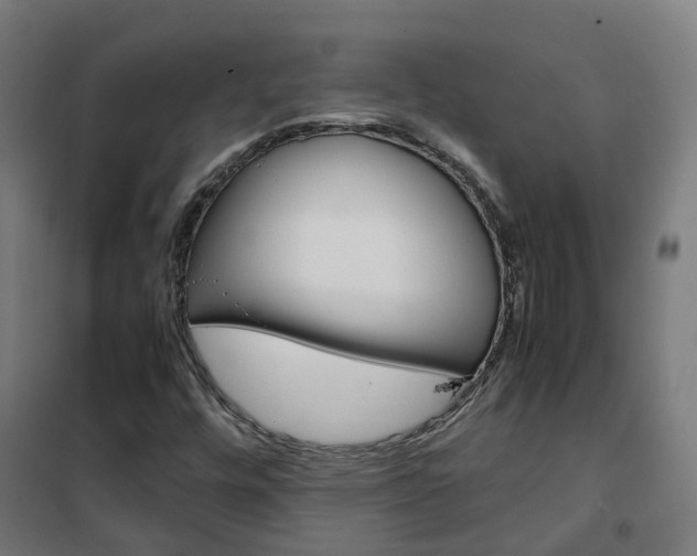X0000102251448200807250850