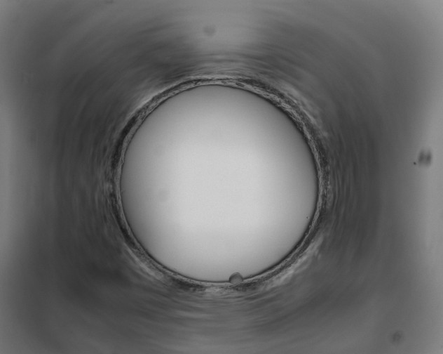 X0000102251449200807250850