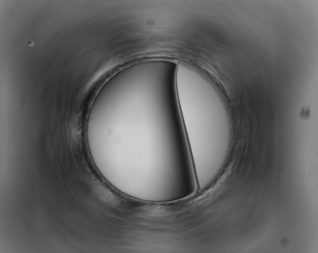 X0000102251450200807250850
