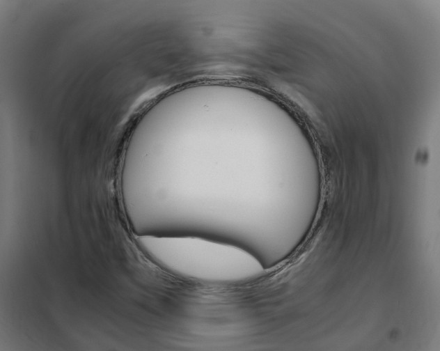 X0000102251451200807250850